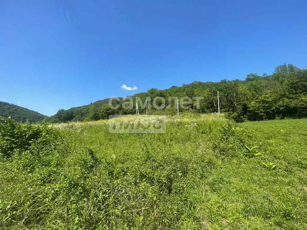 Участок в Краснодарский край, Туапсинский муниципальный округ, ... - Фото 2