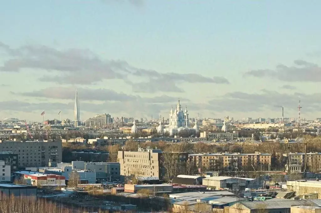 1-к кв. Санкт-Петербург просп. Энергетиков, 11к2 (33.0 м) - Фото 2