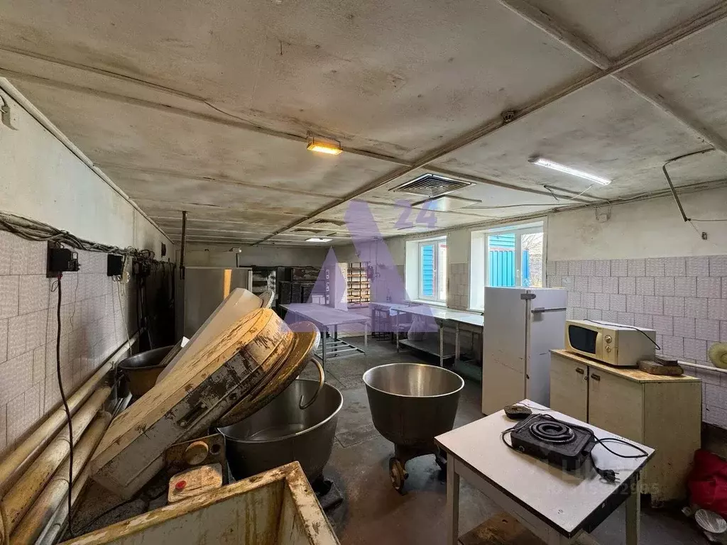 Помещение свободного назначения в Алтайский край, Павловский район, с. ... - Фото 1