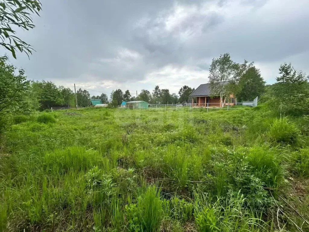 Участок в Камчатский край, Елизовский муниципальный округ, ... - Фото 2
