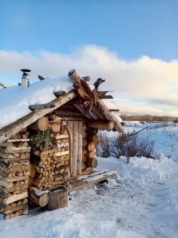 Дом в Кировская область, Арбажский муниципальный округ, д. Победново  ... - Фото 1