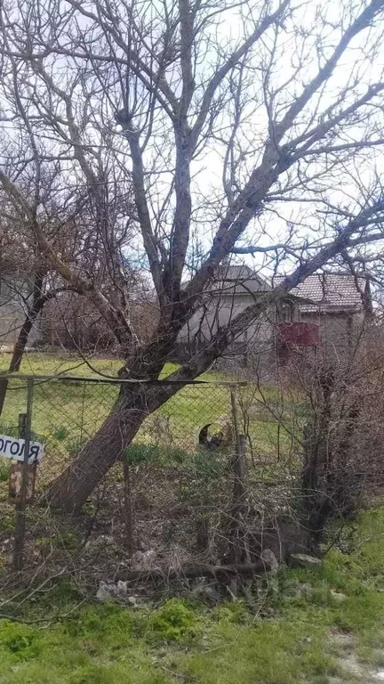 Участок в Краснодарский край, Новороссийск городской округ, пос. ... - Фото 1