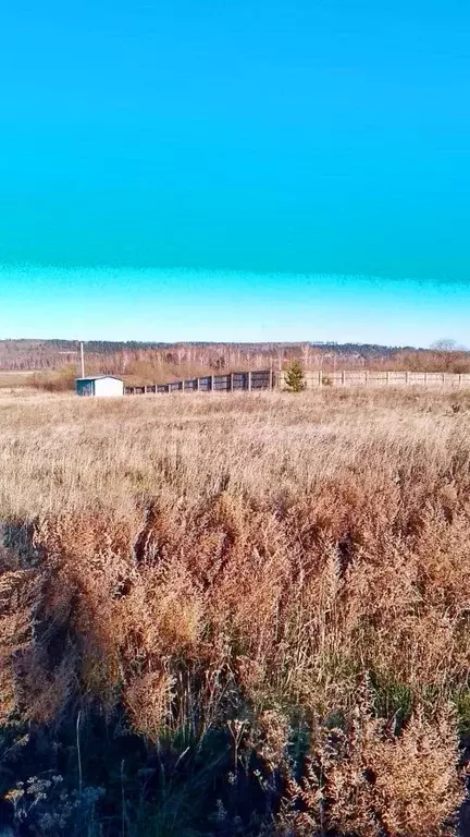 Участок в Иркутская область, Ангарский городской округ, д. Зуй пер. ... - Фото 2