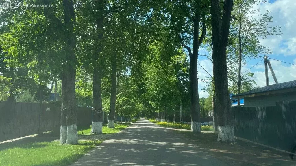Участок в посёлок Дзержинского, Липовая аллея (6.42 м) - Фото 2