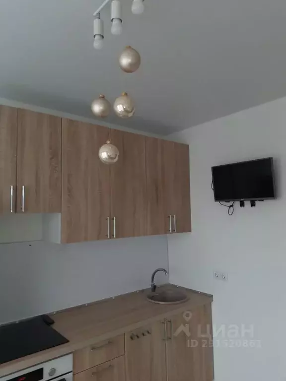 1-к кв. Московская область, Красногорск городской округ, пос. ... - Фото 2