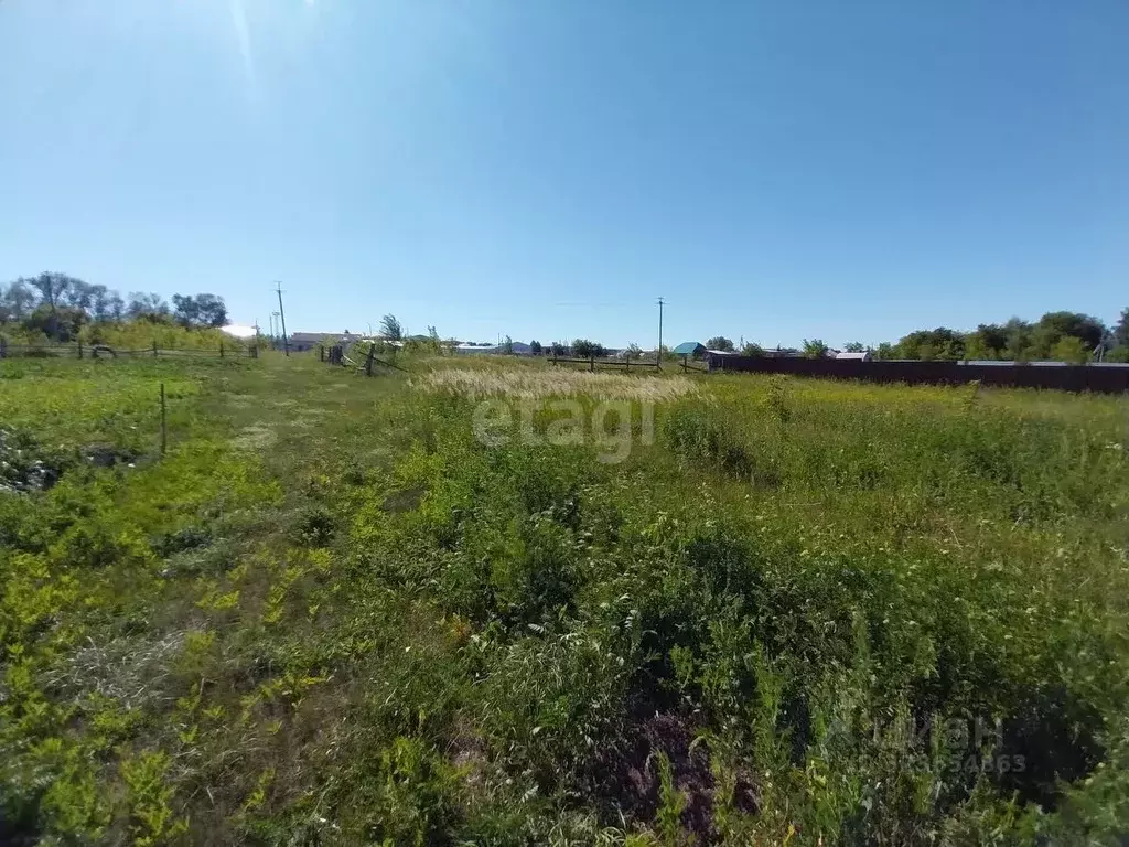 Участок в Ульяновская область, Тереньгульский район, Подкуровское ... - Фото 1