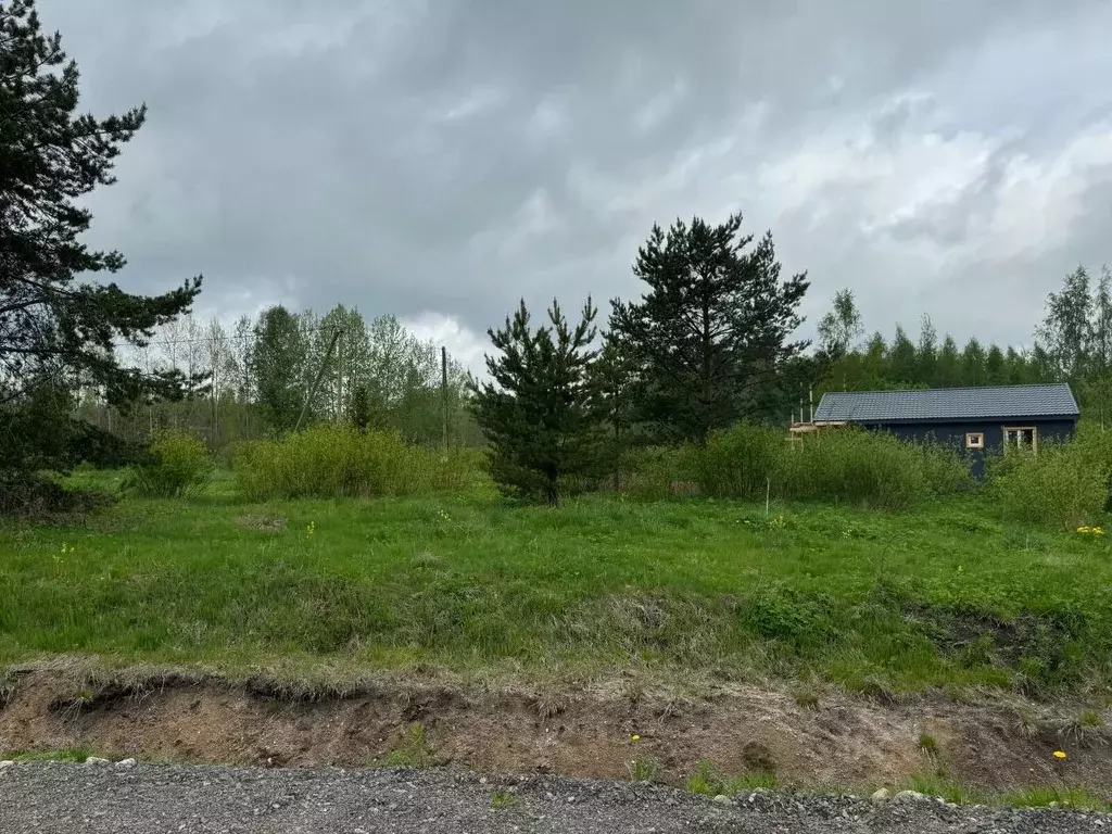 Участок в Ленинградская область, Приозерский район, Запорожское с/пос, ... - Фото 2