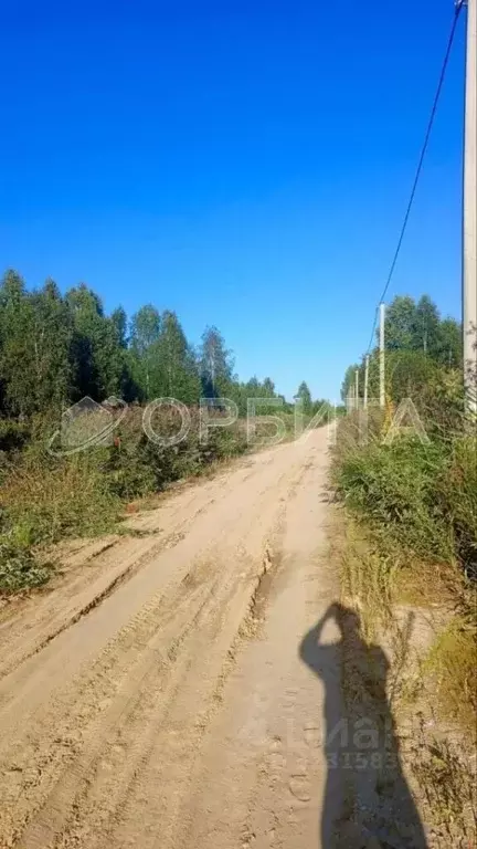 Участок в Тюменская область, Нижнетавдинский муниципальный округ, ... - Фото 1