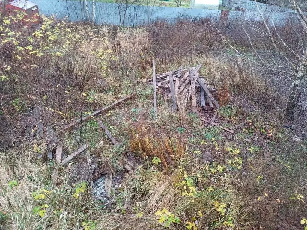 Участок в Московская область, Серпухов городской округ, Вега СНТ 68 ... - Фото 1