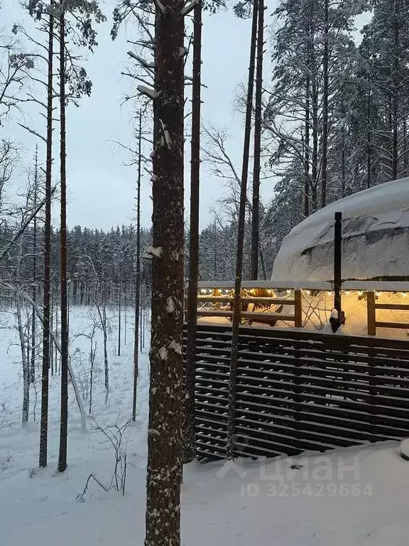 Дом в Ленинградская область, Приозерский район, Красноозерное с/пос, ... - Фото 2