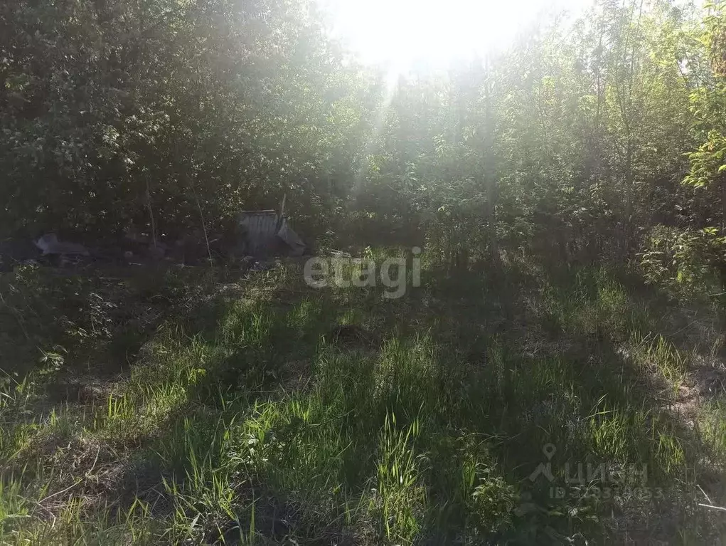 Участок в Башкортостан, Стерлитамак Дружба СНТ, 227 (4.0 сот.) - Фото 1