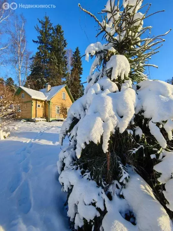 Дом в посёлок Песочный, Скородумовская улица, 17 (90 м) - Фото 0