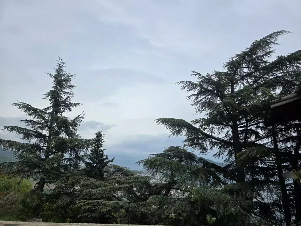 Участок в Крым, Ялта муниципальный округ, Гурзуф пгт ш. Гурзуфское, 4 ... - Фото 1