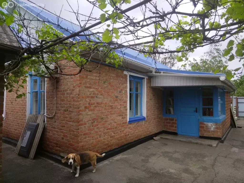 Дом в посёлок Красочный, Садовая улица, 9 (54.1 м) - Фото 1