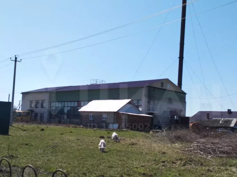 Гараж в Чувашия, Цивильск Цивильский район, ул. Хмелеводческая, 9б . - Фото 0