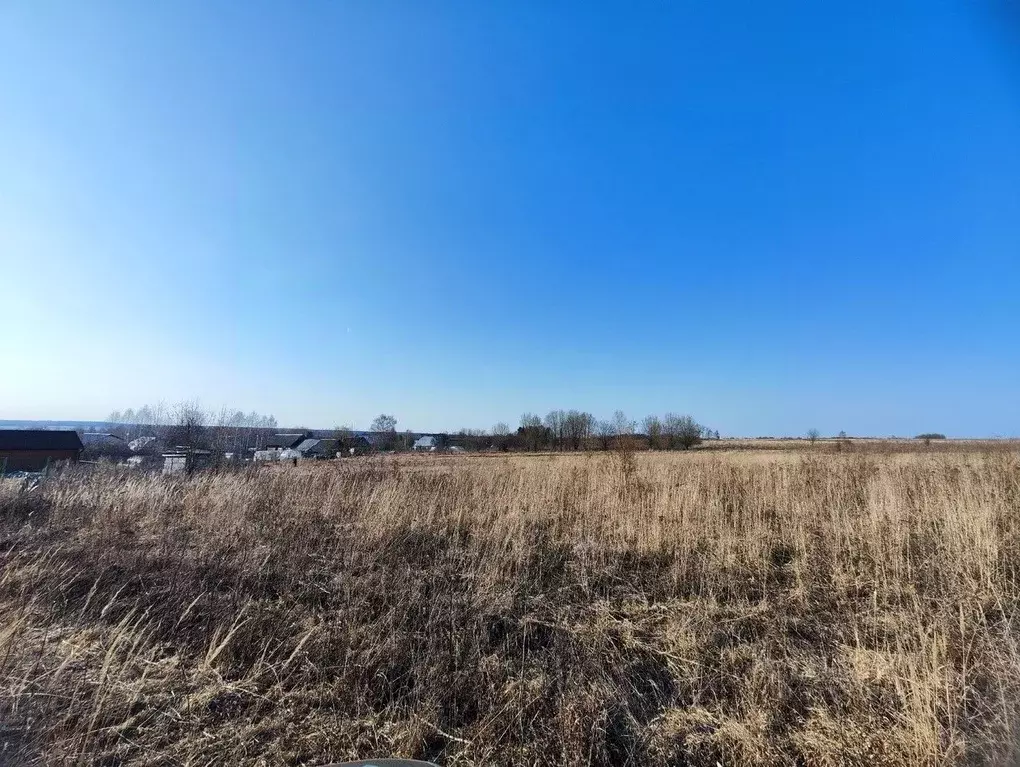 Участок в Владимирская область, Кольчугинский район, Ильинское ... - Фото 1