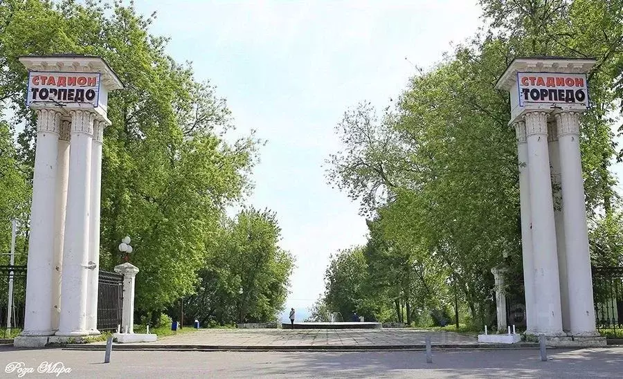 Участок в Владимирская область, Владимир Сосенская ул. (50.0 сот.) - Фото 1