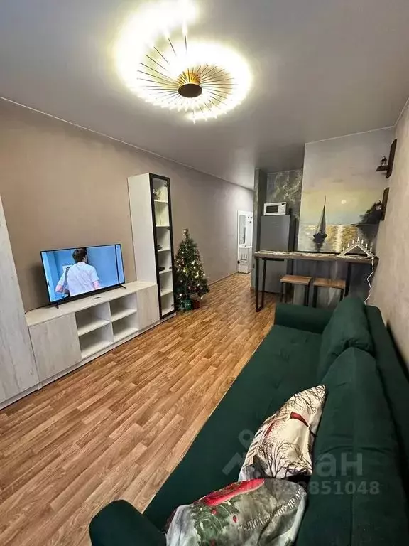 Студия Псковская область, Остров ул. Освобождения, 7А (27.0 м) - Фото 2