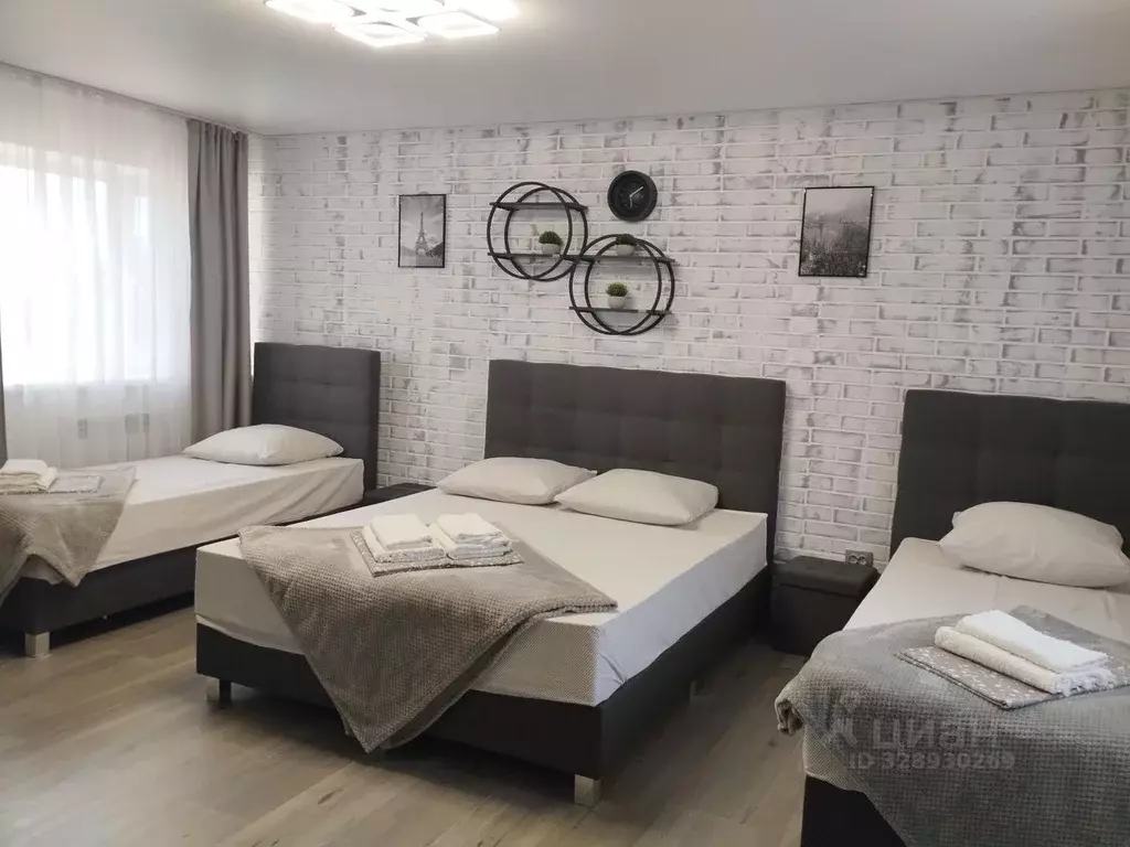 Комната Воронежская область, Павловск ул. Свободы, 30с1 (25.0 м) - Фото 1