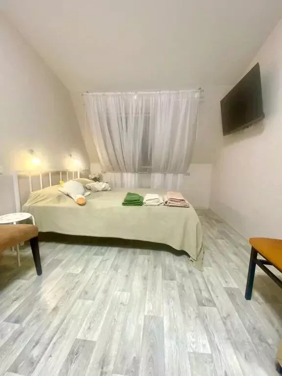 Студия Санкт-Петербург Галерная ул., 12 (24.0 м) - Фото 1