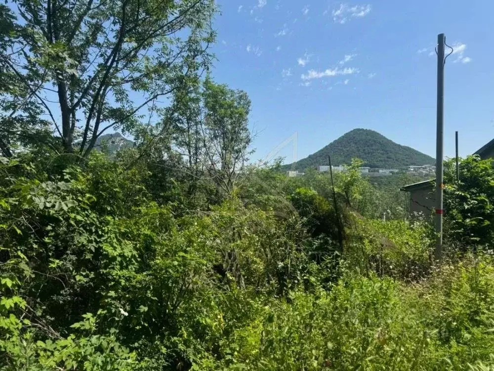 Участок в Ставропольский край, Железноводск Заря садовые участки, 177 ... - Фото 1