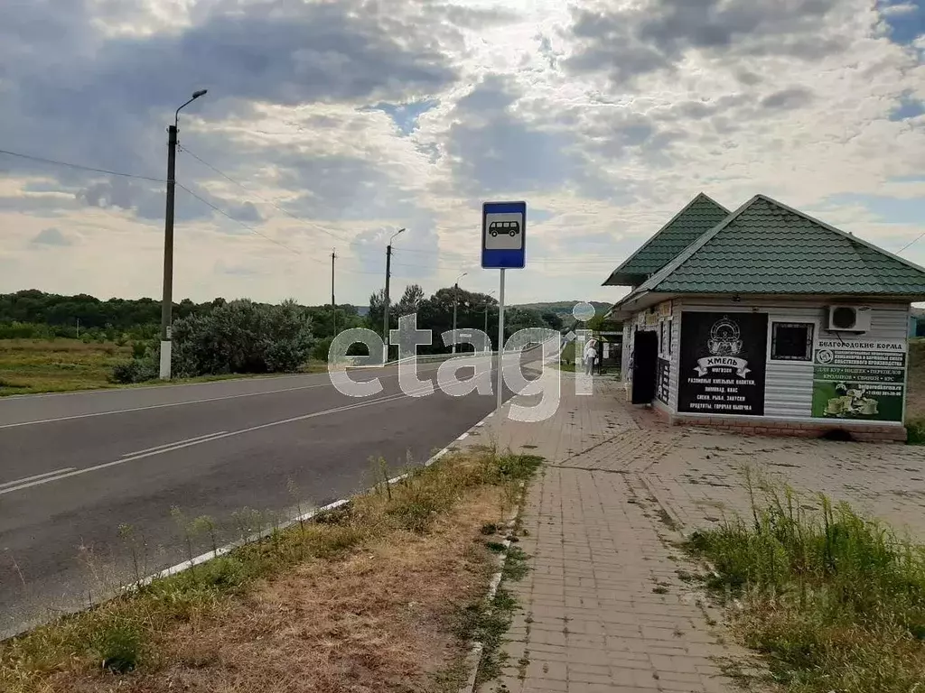 Торговая площадь в Белгородская область, Волоконовка рп, Косарь мкр  ... - Фото 1