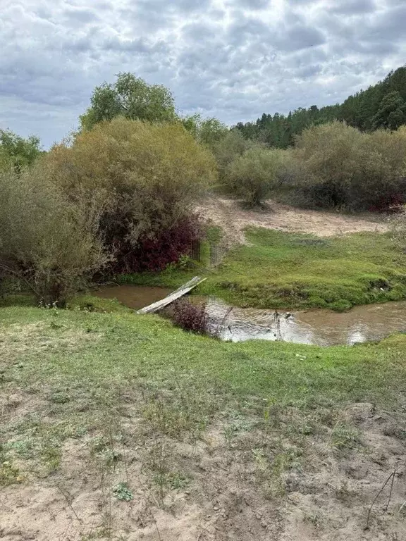 Участок в Бурятия, Кяхтинский район, Хоронхойское с/пос, пос. Хоронхой ... - Фото 2