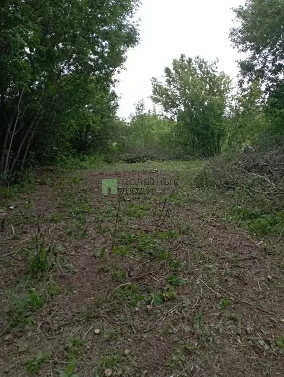 Участок в Самарская область, Самара Советская ул. (19.69 сот.) - Фото 0