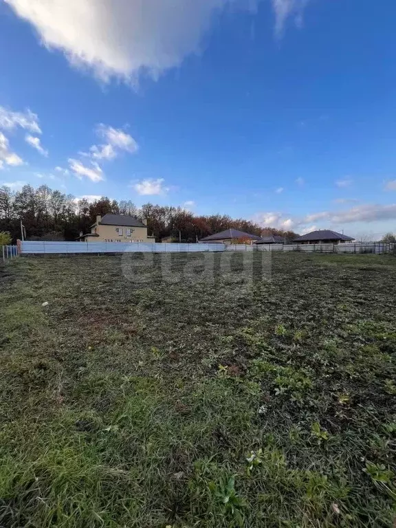 Участок в Липецкая область, Липецкий муниципальный округ, д. Ясная ... - Фото 2