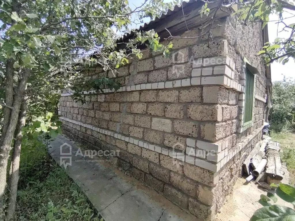 Дом в Волгоградская область, Дубовский район, Пичужинское с/пос, Сталь ... - Фото 2