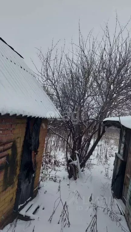 Участок в Башкортостан, Стерлитамакский район, Первомайский сельсовет, ... - Фото 1