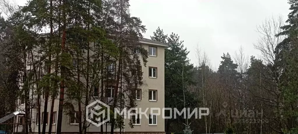 2-к кв. Московская область, Балашиха городской округ, д. Черное ул. ... - Фото 2