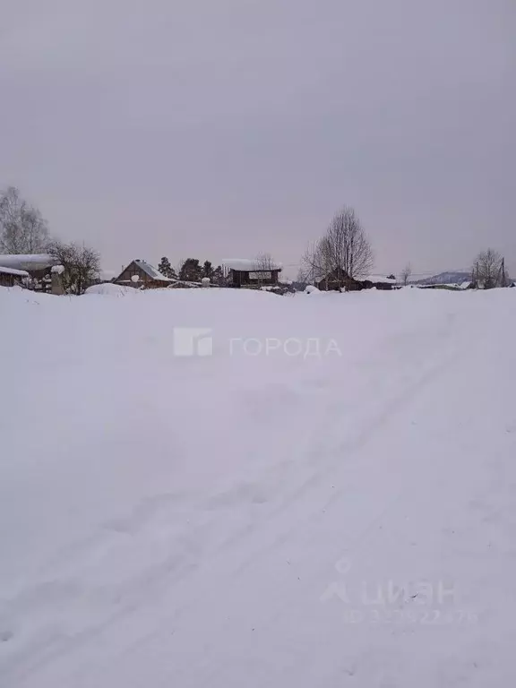 Участок в Алтай, Турочакский район, с. Озеро-Куреево Новая ул., 8 ... - Фото 2