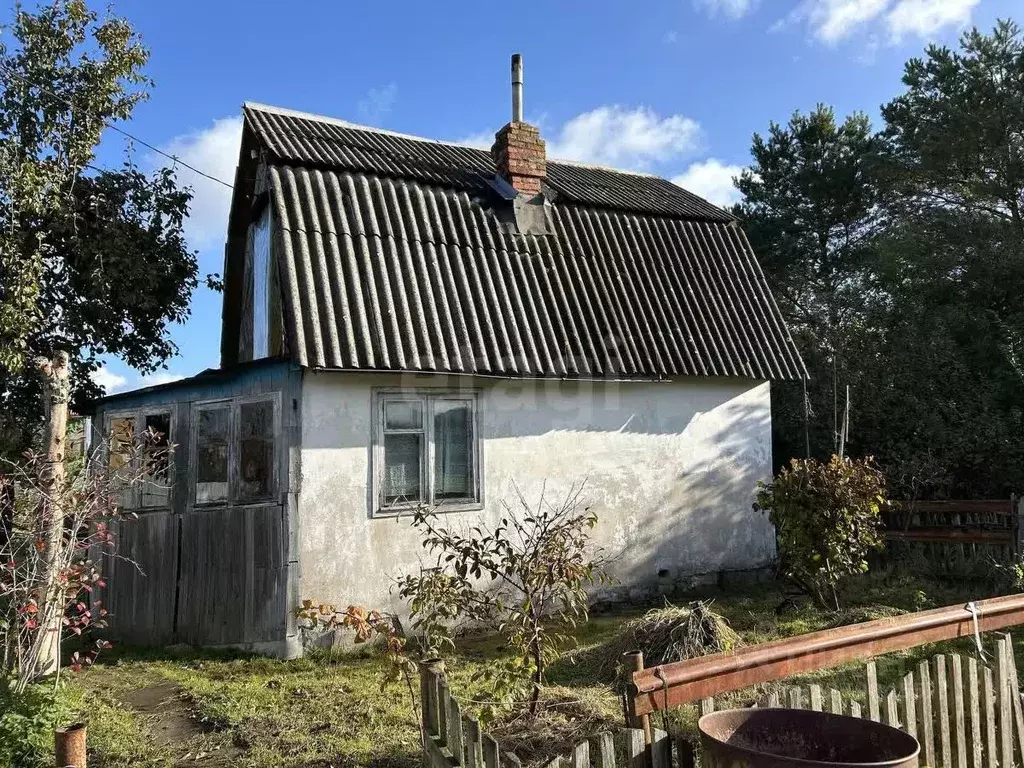 Участок в Калининградская область, Гурьевский муниципальный округ, СНТ ... - Фото 2