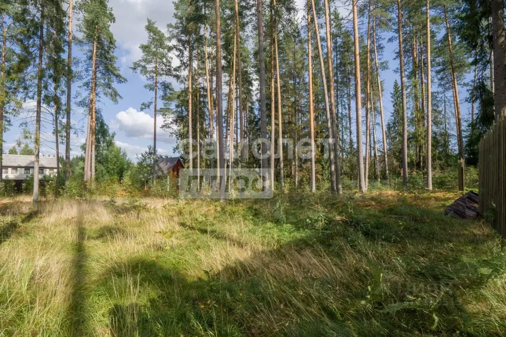 Участок в Ленинградская область, Приозерский район, Мельниковское ... - Фото 0