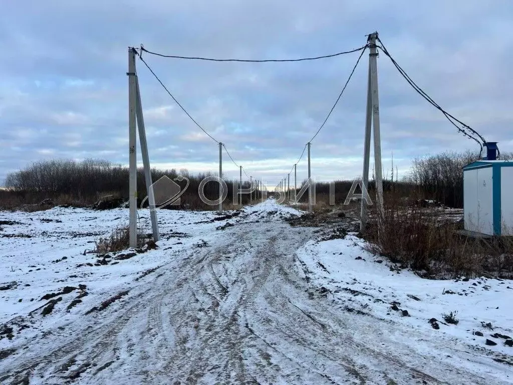 Участок в Тюменская область, Тюмень ул. Андрея Огибалова (8.03 сот.) - Фото 0