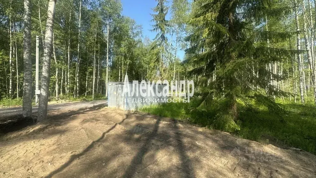 Участок в Ленинградская область, Всеволожский район, Токсовское ... - Фото 1