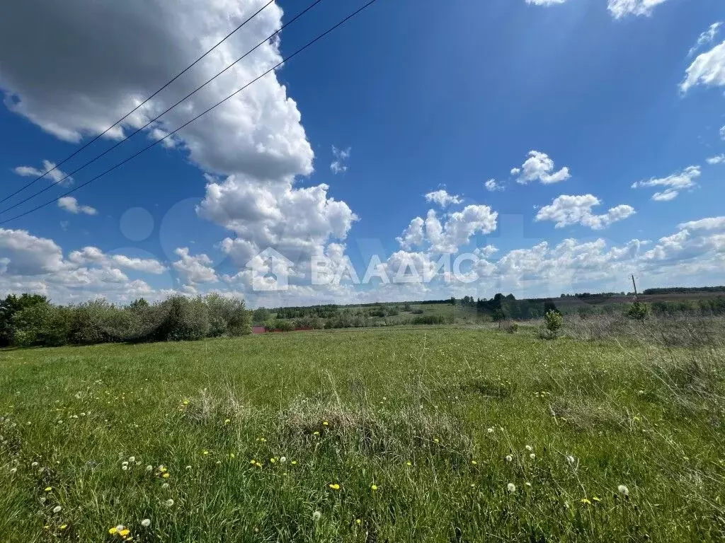 Дом 31 м на участке 46 сот. - Фото 1