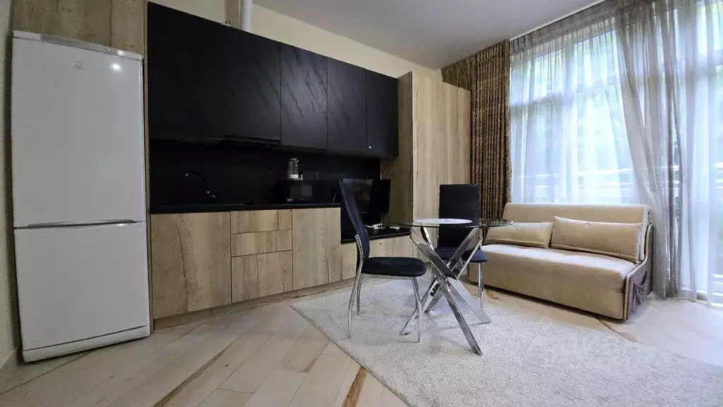 Студия Краснодарский край, Сочи Курортный просп., 95/53 (37.0 м) - Фото 1