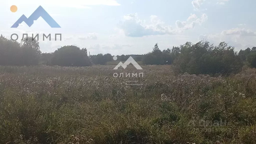 Участок в Вологодская область, пос. Дубровское ул. Школьная (15.0 ... - Фото 2