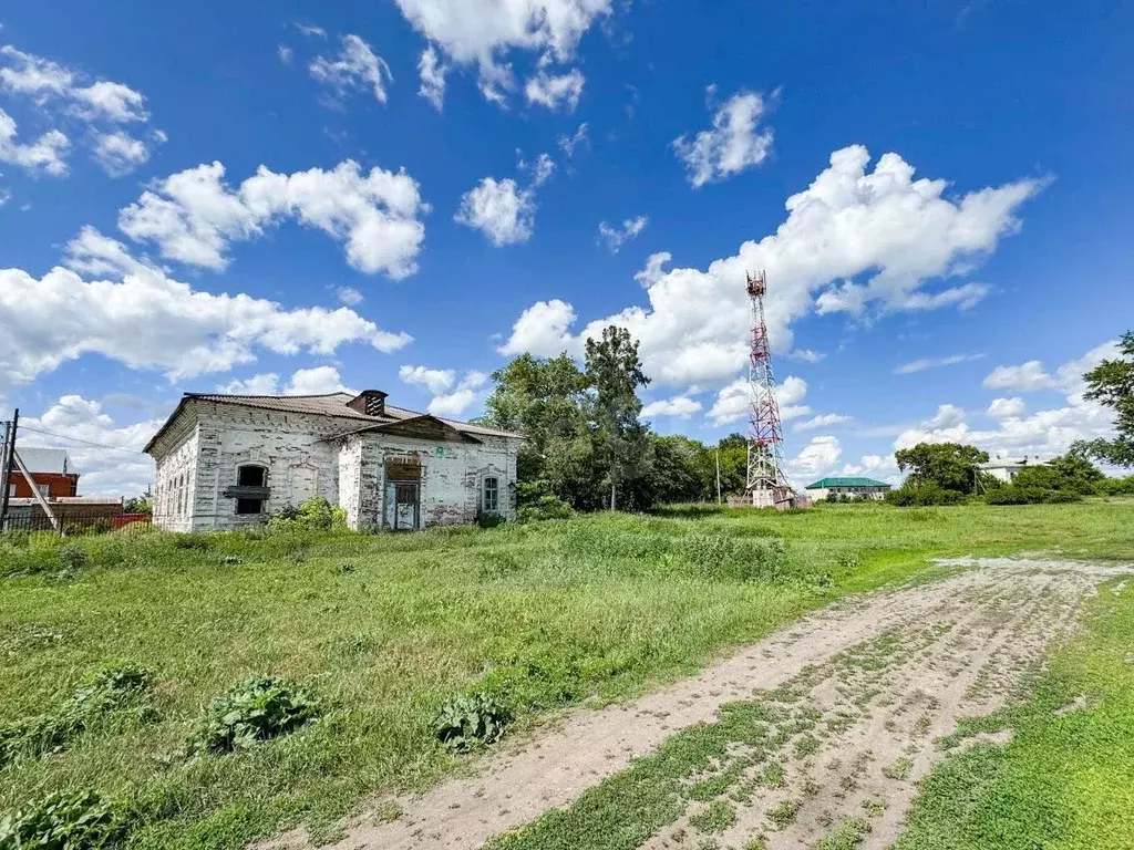 Офис в Курганская область, Каргапольский муниципальный округ, с. Чаши ... - Фото 1