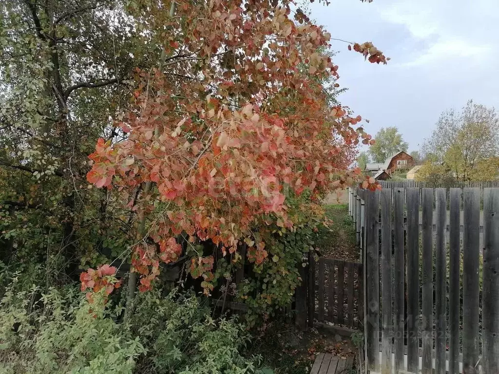 Участок в Свердловская область, Горноуральский городской округ, с. ... - Фото 0