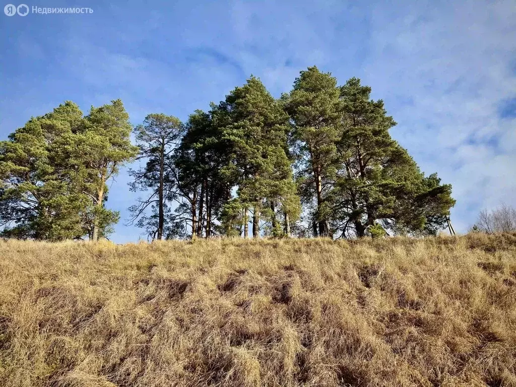 Участок в Московская область, городской округ Ступино, КП Торбеево ... - Фото 1