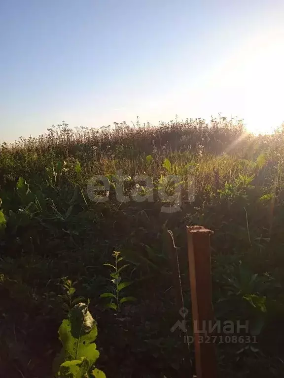 Участок в Тульская область, Веневский муниципальный округ, д. Гурьево  ... - Фото 1