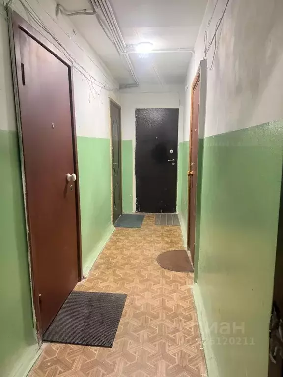 1-к кв. Липецкая область, Липецк ул. Космонавтов, 18 (18.2 м) - Фото 2