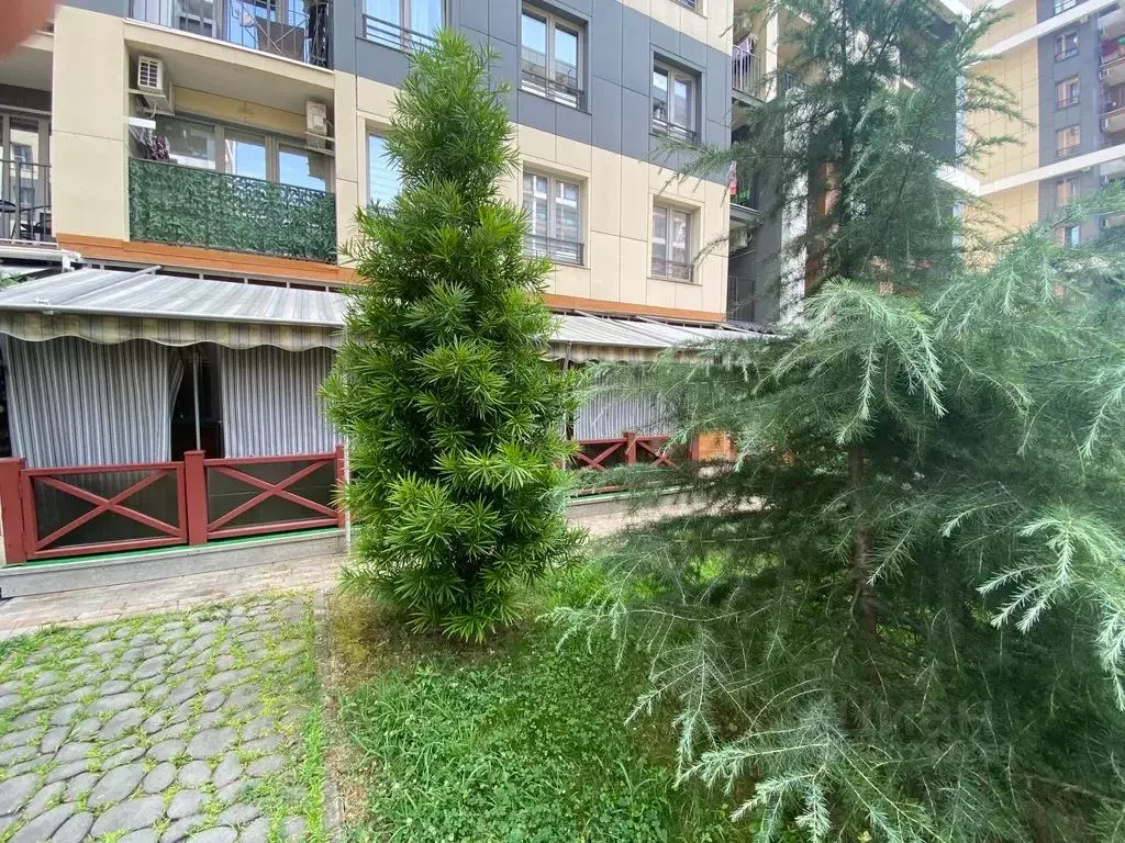 1-к кв. Краснодарский край, Сочи городской округ, Дагомыс пгт ул. ... - Фото 1