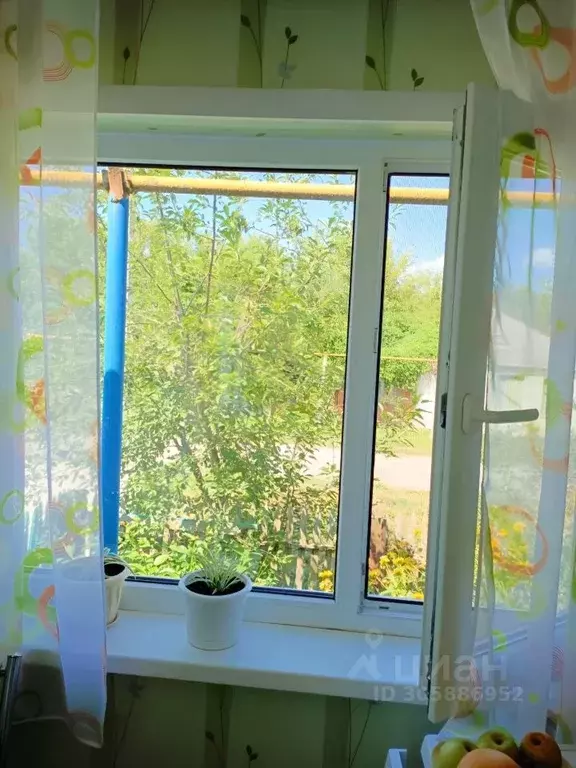 Дом в Белгородская область, Валуйский городской округ, с. Рождествено ... - Фото 1