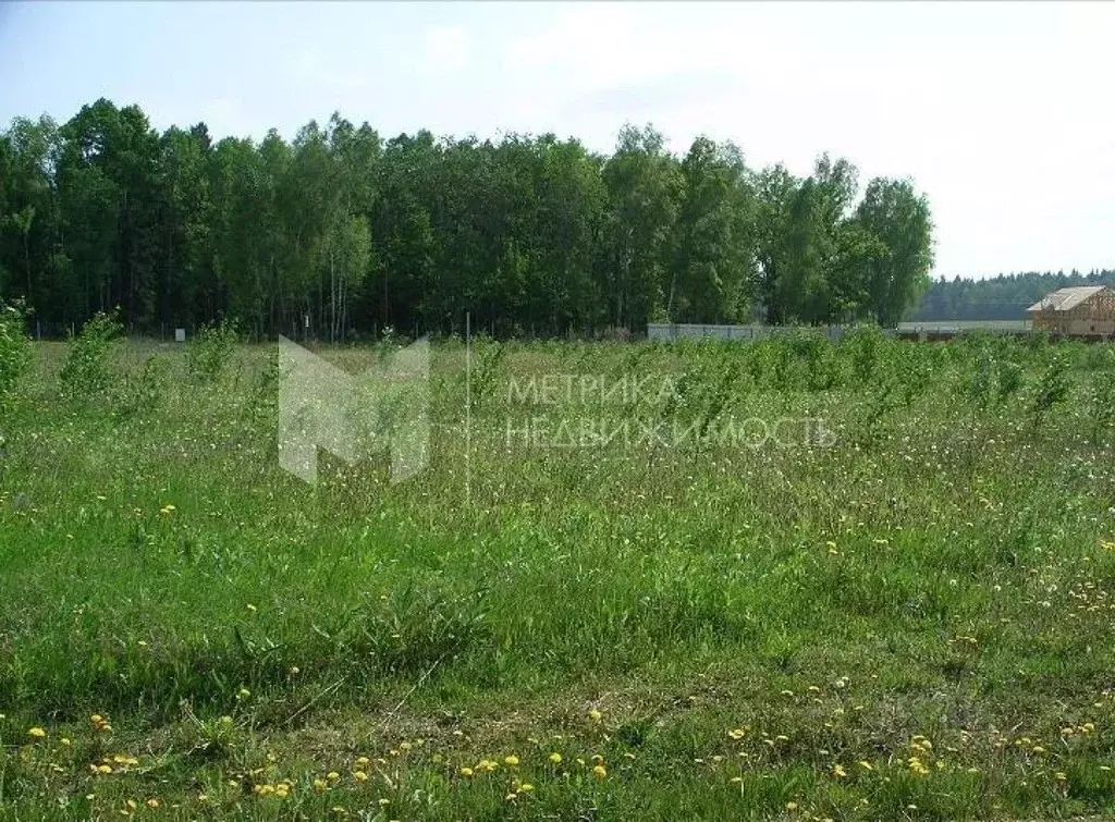 Участок в Тюменская область, Тюмень Верхний Бор мкр, ул. Дружбы (10.0 ... - Фото 1