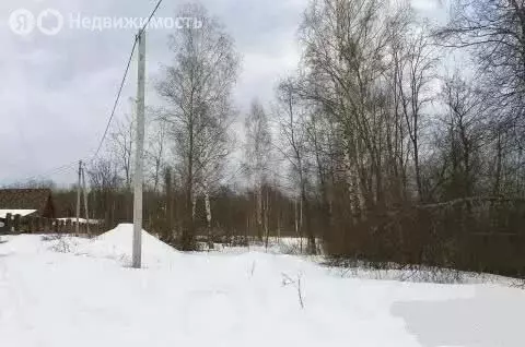 Участок в Ярославская область, Некрасовский муниципальный округ, ... - Фото 2