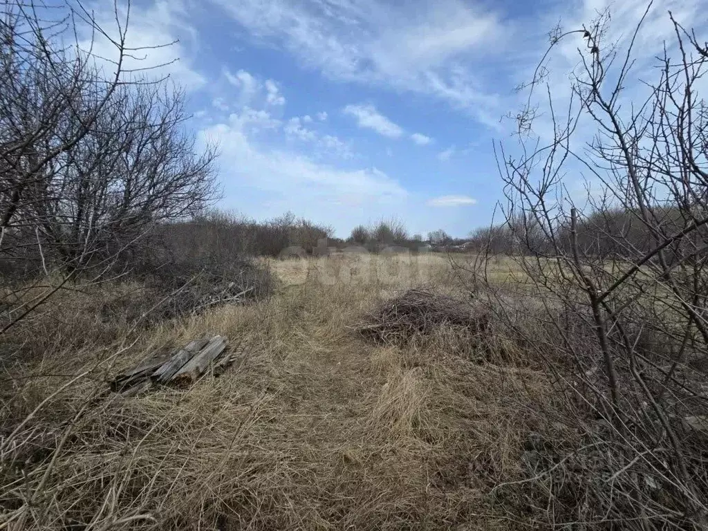 Дом в Белгородская область, Валуйский муниципальный округ, с. ... - Фото 2